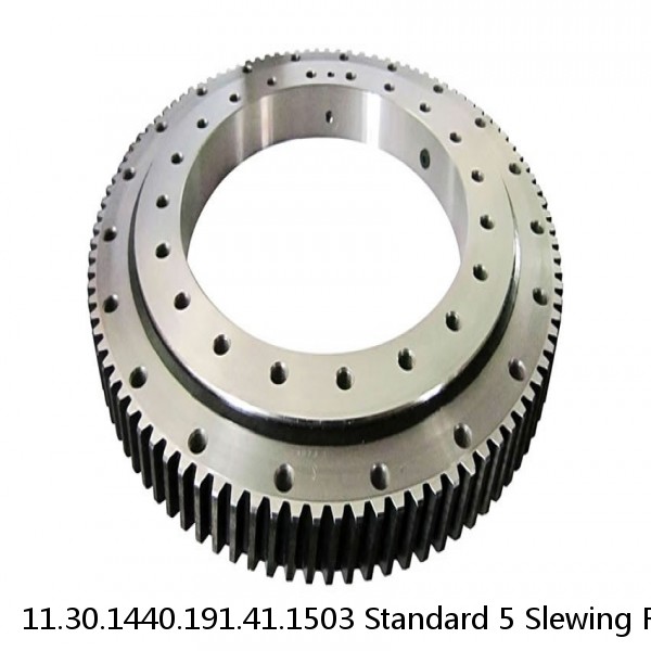 11.30.1440.191.41.1503 Standard 5 Slewing Ring Bearings