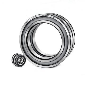 Toyana RNAO6x13x8 cylindrical roller bearings