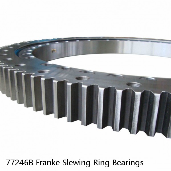 77246B Franke Slewing Ring Bearings