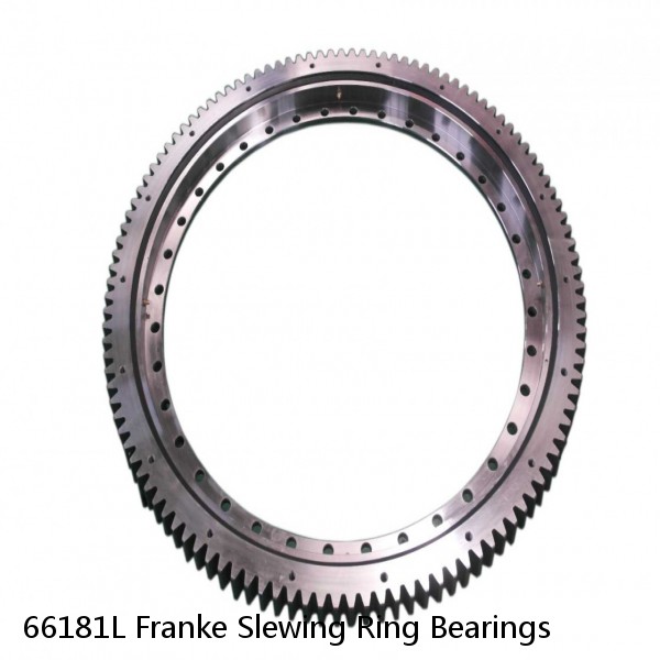 66181L Franke Slewing Ring Bearings