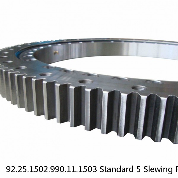 92.25.1502.990.11.1503 Standard 5 Slewing Ring Bearings