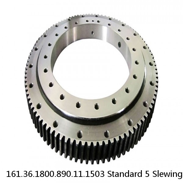 161.36.1800.890.11.1503 Standard 5 Slewing Ring Bearings