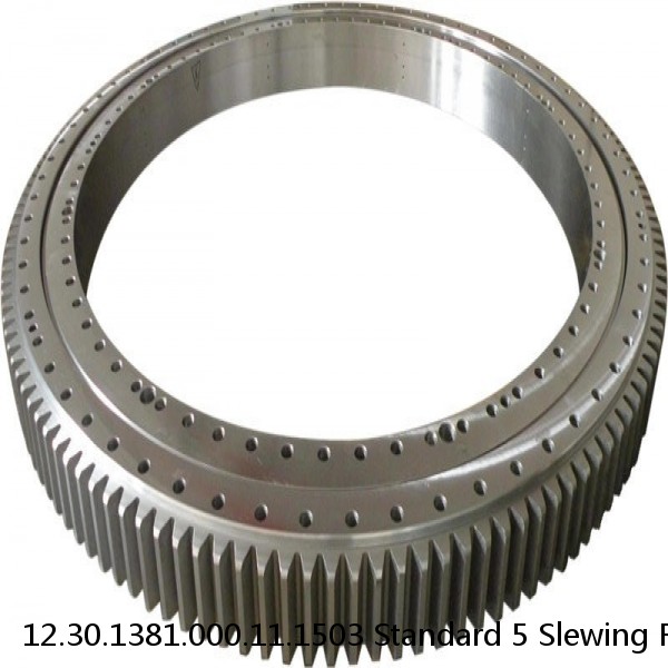 12.30.1381.000.11.1503 Standard 5 Slewing Ring Bearings