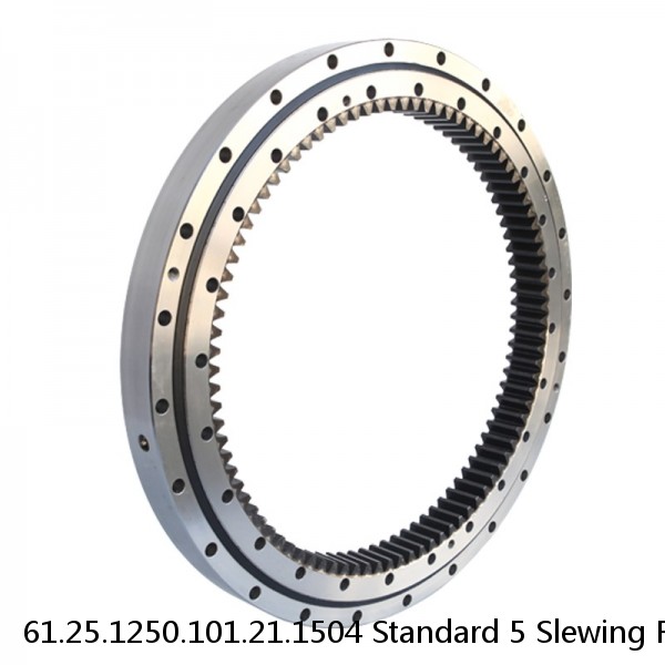 61.25.1250.101.21.1504 Standard 5 Slewing Ring Bearings