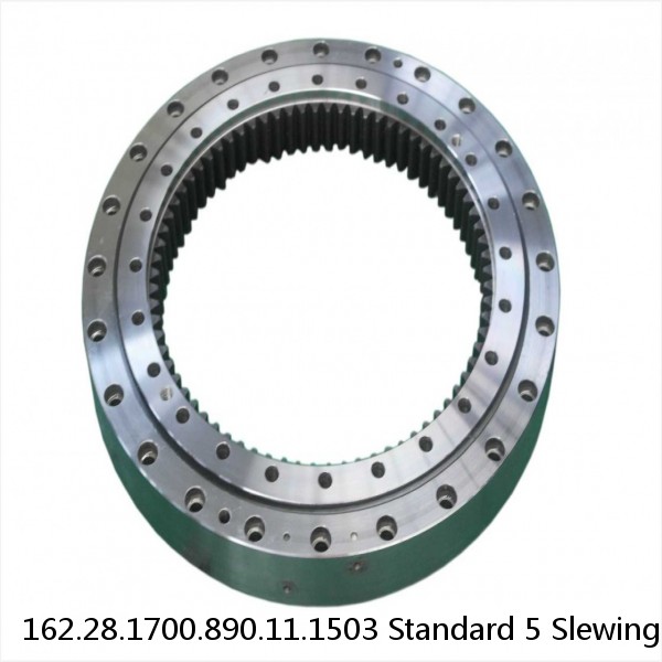 162.28.1700.890.11.1503 Standard 5 Slewing Ring Bearings