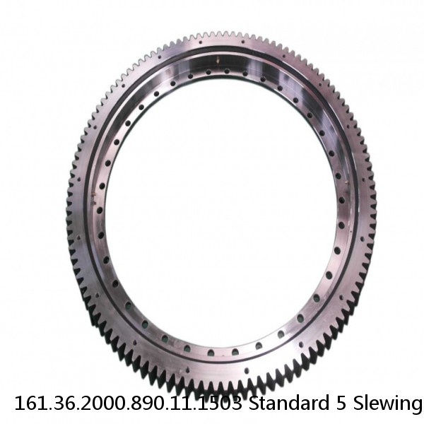 161.36.2000.890.11.1503 Standard 5 Slewing Ring Bearings