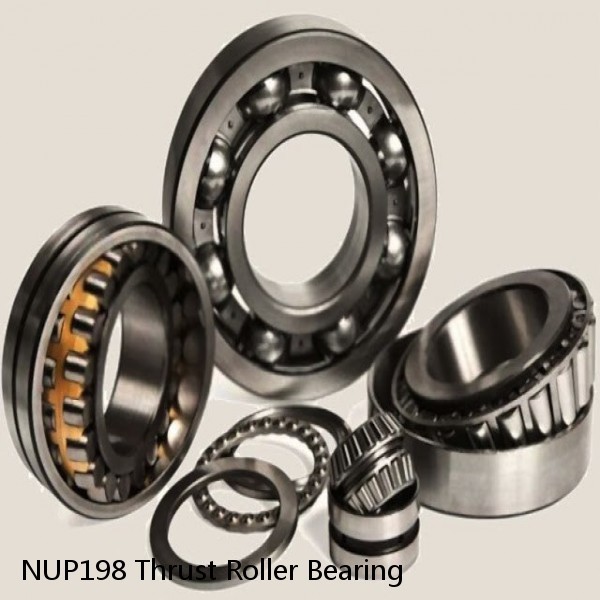 NUP198 Thrust Roller Bearing