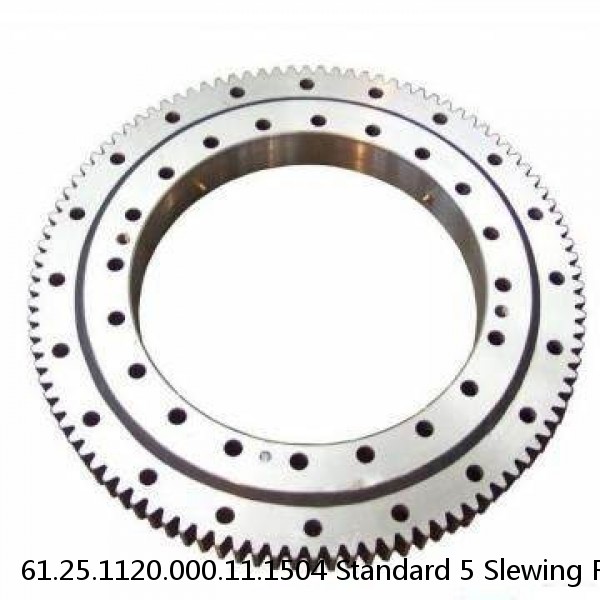 61.25.1120.000.11.1504 Standard 5 Slewing Ring Bearings