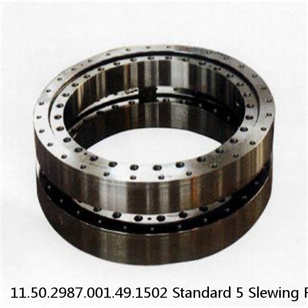 11.50.2987.001.49.1502 Standard 5 Slewing Ring Bearings