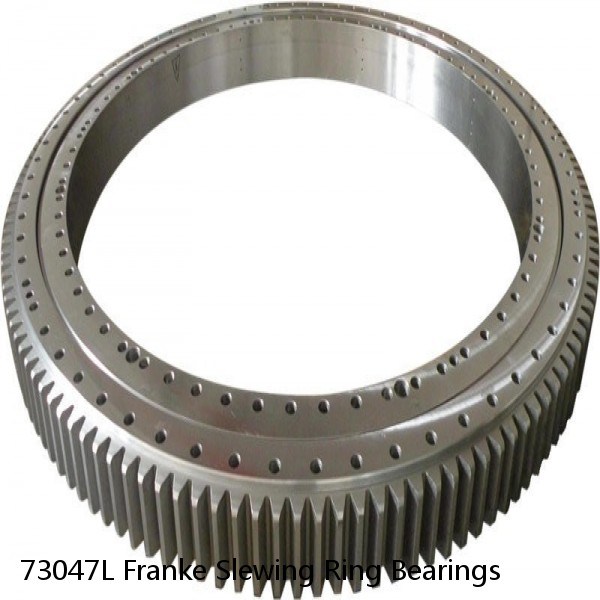 73047L Franke Slewing Ring Bearings