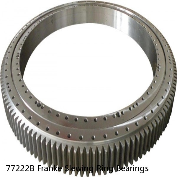 77222B Franke Slewing Ring Bearings