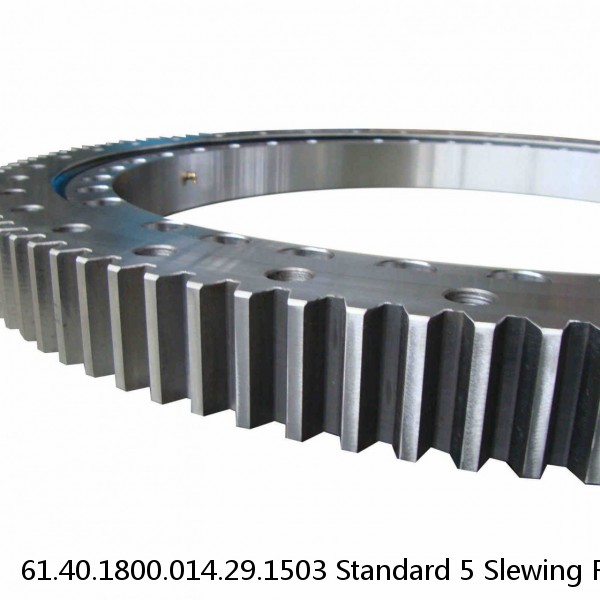 61.40.1800.014.29.1503 Standard 5 Slewing Ring Bearings