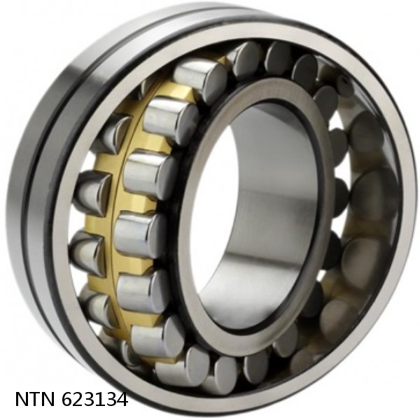 623134 NTN Cylindrical Roller Bearing