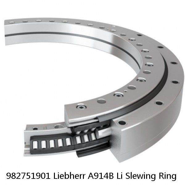 982751901 Liebherr A914B Li Slewing Ring