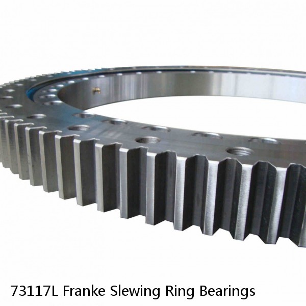 73117L Franke Slewing Ring Bearings