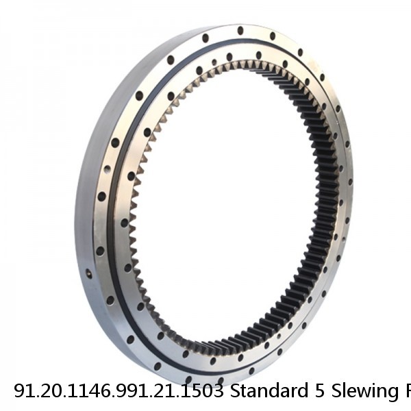 91.20.1146.991.21.1503 Standard 5 Slewing Ring Bearings