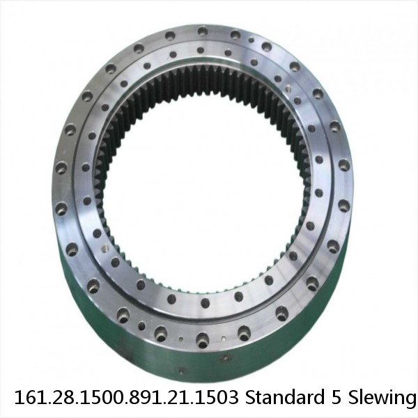 161.28.1500.891.21.1503 Standard 5 Slewing Ring Bearings