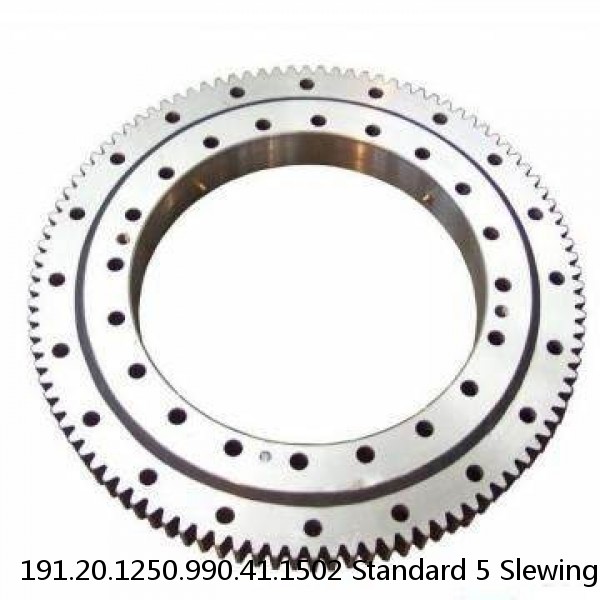 191.20.1250.990.41.1502 Standard 5 Slewing Ring Bearings