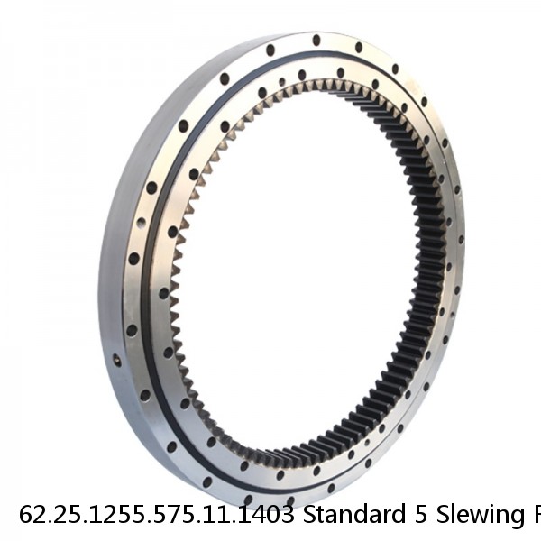 62.25.1255.575.11.1403 Standard 5 Slewing Ring Bearings