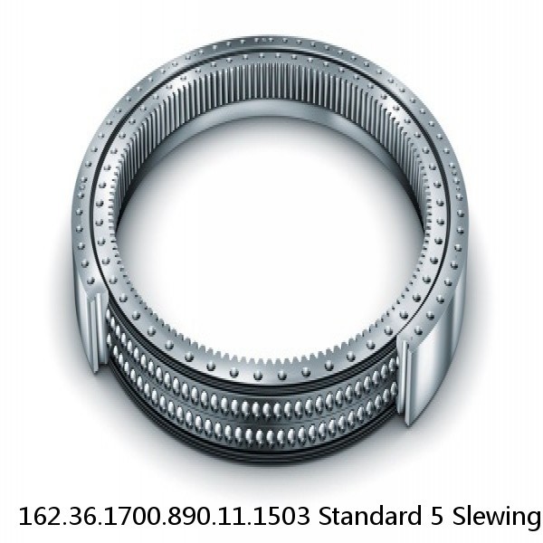 162.36.1700.890.11.1503 Standard 5 Slewing Ring Bearings